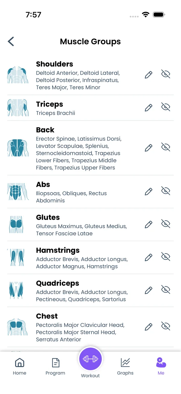 Custom Exercises and Muscle Groups: muscle groups